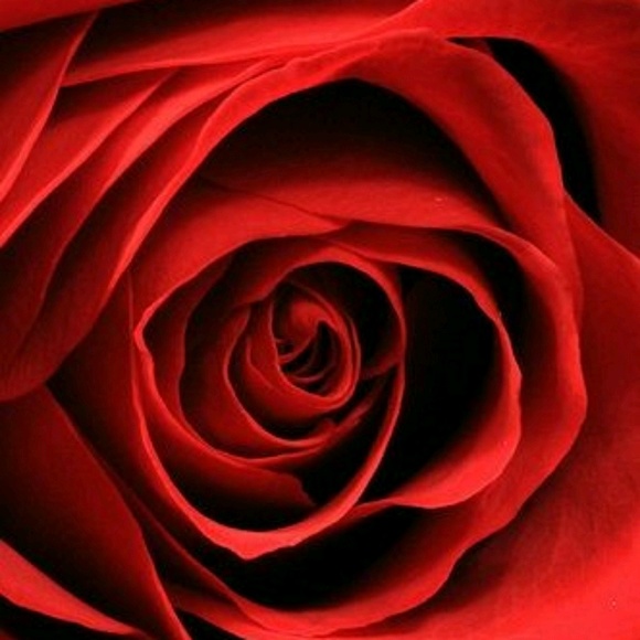 Meet your Posher, Nicky G. - Picture 1 of 1